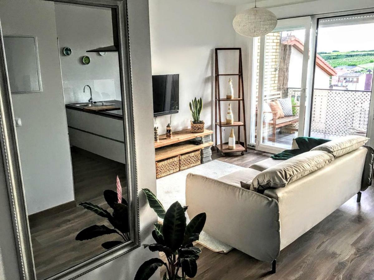 Apartamento Gaztainondoak Lanciego Exteriér fotografie
